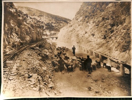 Foto 29x39 cm - ,