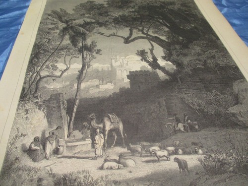 Antik druck von 1877 - ,
